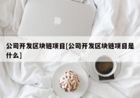 公司开发区块链项目[公司开发区块链项目是什么]